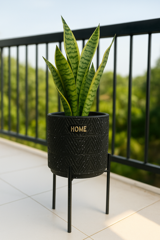 Modern Black Ceramic Planter with Gold 'HOME' Engraving and Black Metal Stand