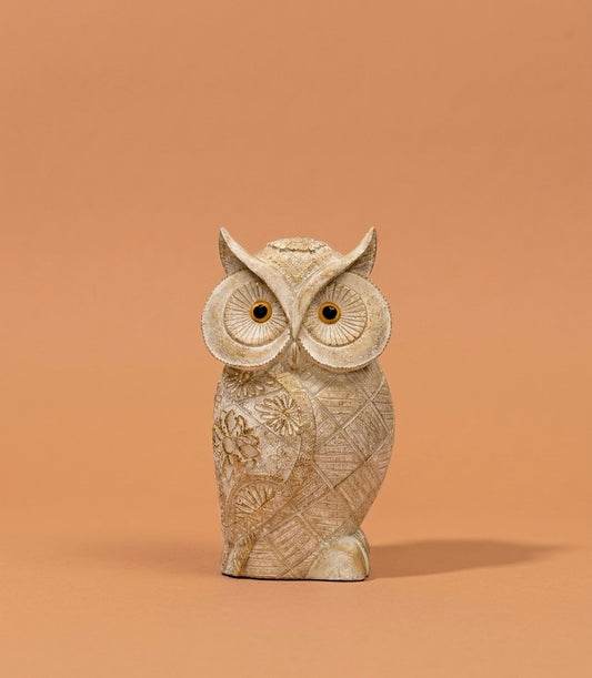 Feng Shui owl showpiece for good luck, home decor item