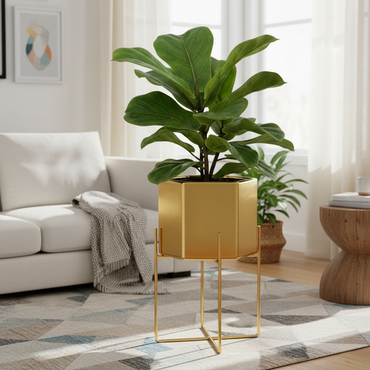 Best indoor planter for modern homes