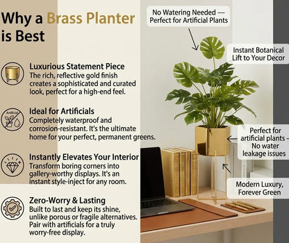 Best Brass Indoor Pot for artificial Plants Trending product