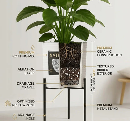 Best Indoor Planters For Modern Interior Decor
