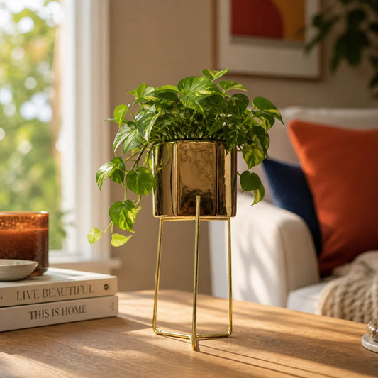 Best Top Rated Brass Indoor Planter for Indoor Plants and Artificial Plants