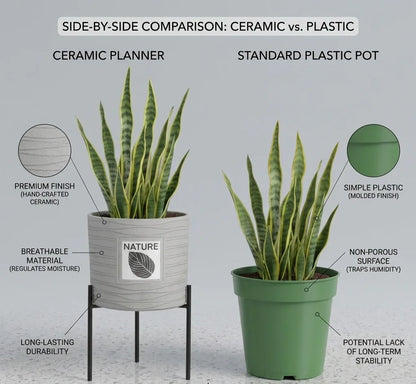 Best aesthetic ceramic indoor plater for home and office.