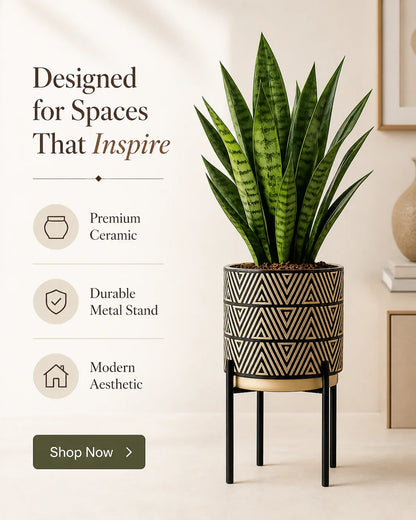 Ceramic Indoor Plant Pot for Home Office Commercial Spaces