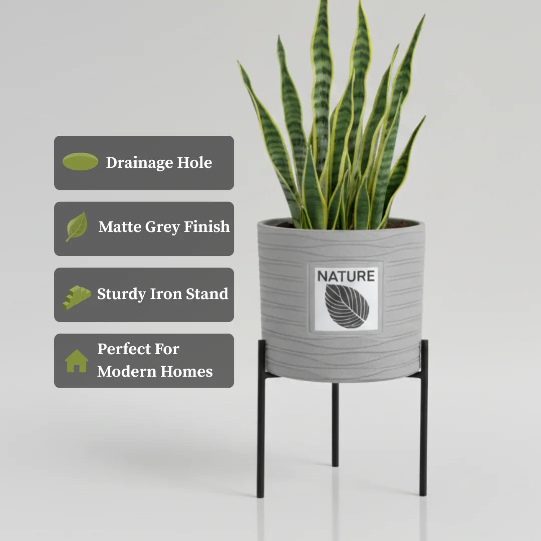 Ceramic planter for Indoor Plants 