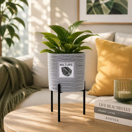 Eco leaf Ceramic Planter for Home, Office, workplace.