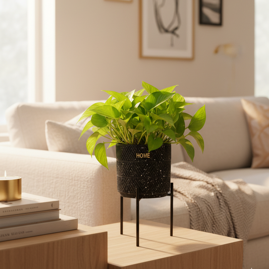 Modern Black Ceramic Planter with Gold 'HOME' Engraving and Black Metal Stand