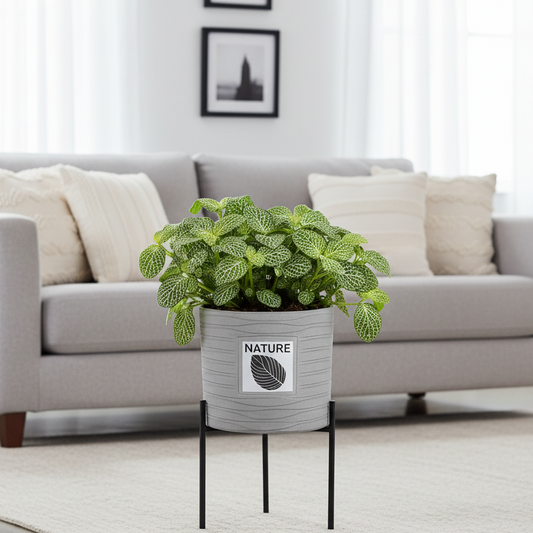 EcoLeaf Ceramic Planter