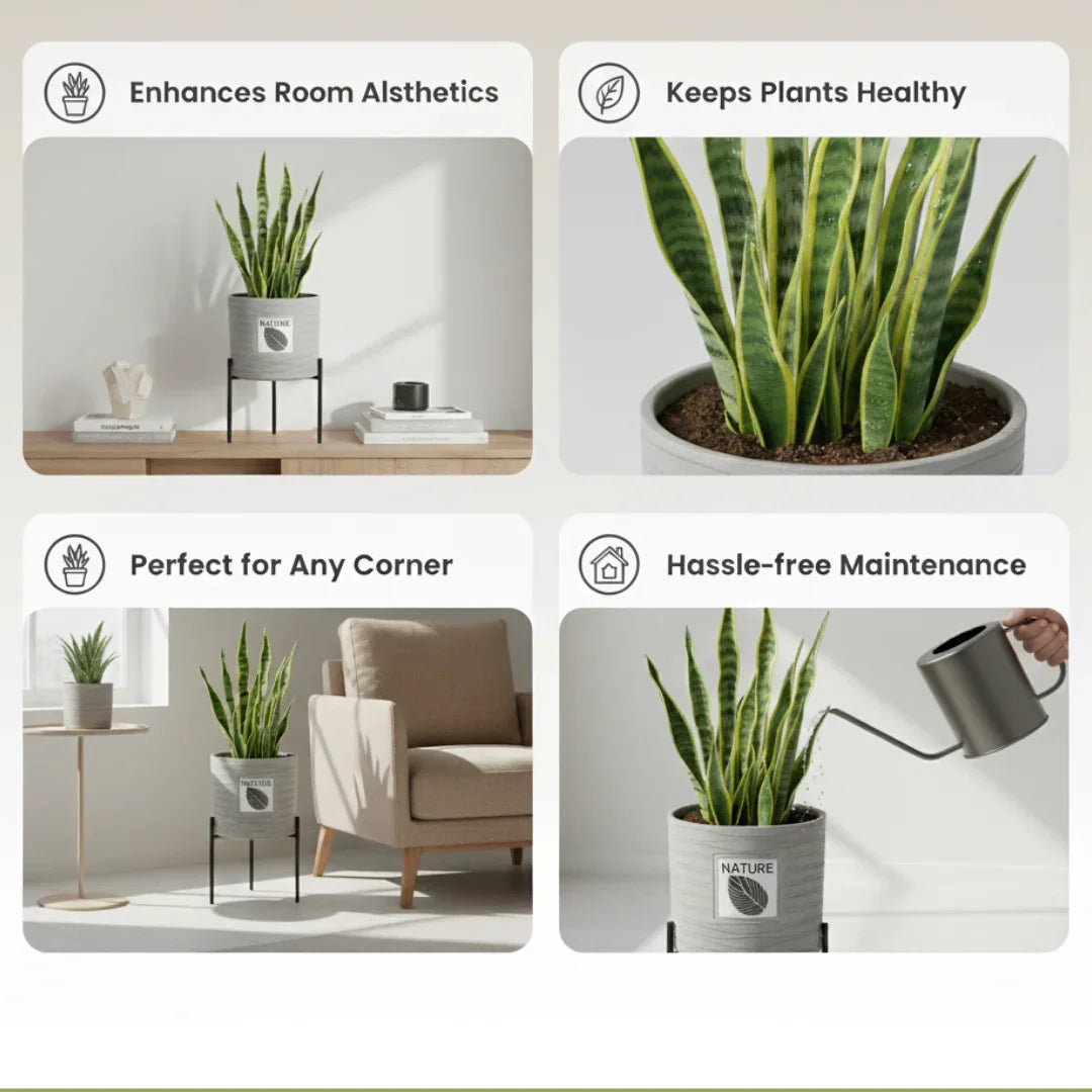 High quality aesthetic indoor plant pot 