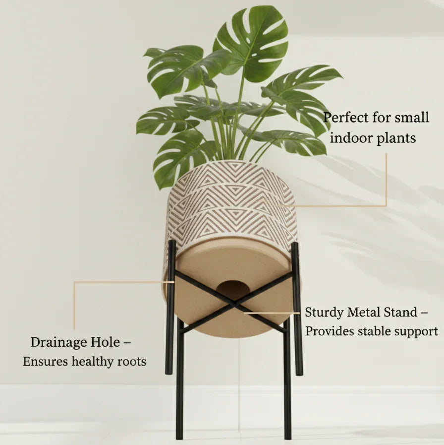 Indoor Ceramic Plant Pots