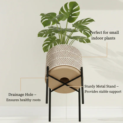Indoor Ceramic Plant Pots
